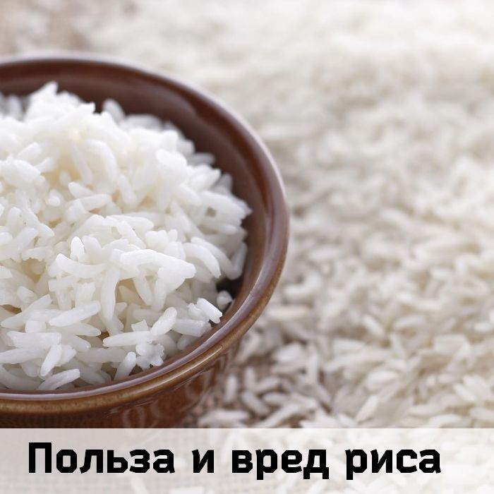 Польза и вред риса